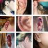 imageORAZIO CZ Stud Earrings for Women Men Stainless Steel Cubic Zirconia Screwback Earrings SetC5MM CZ