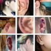 imageORAZIO CZ Stud Earrings for Women Men Stainless Steel Cubic Zirconia Screwback Earrings SetD6MM CZ