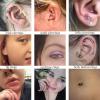 imageORAZIO Eyebrow Rings16G Rook Labret Eyebrow Piercing for Women MenSurgical Steel Curved Barbell Piercing JewelryVertical Labret Lip JewelryRose GoldSilver68MMC Rose Gold Tone 6MM