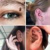 imageORAZIO 14 PCS Rook Piercing Jewelry Surgical Steel Eyebrow Piercing 16G Rook Earrings for Women Curved Barbells Eyebrow Rings Belly Lip Ring Cartilage Daith Helix Tragus Body PiercingsRose Gold
