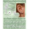 image:imageORAZIO 201816G Cartilage Earrings for Women Flat Back Earring Stacks Hypoallergenic Surgical Steel Flatback Stud Hoop Cartilage Earring Set Daith Conch Tragus Helix Piercing Jewelry Single PCStyle2Silver Plated