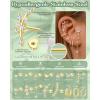 image:imageORAZIO 201816G Cartilage Earrings for Women Flat Back Earring Stacks Hypoallergenic Surgical Steel Flatback Stud Hoop Cartilage Earring Set Daith Conch Tragus Helix Piercing Jewelry Single PCStyle2Gold Plated